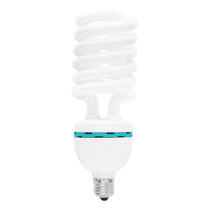 Minimalist Bulb